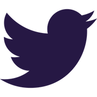 Twitter logo navy